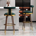 Luima Modern Bar Stool Chair