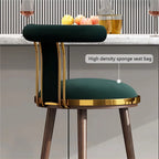 Luima Modern Bar Stool Chair