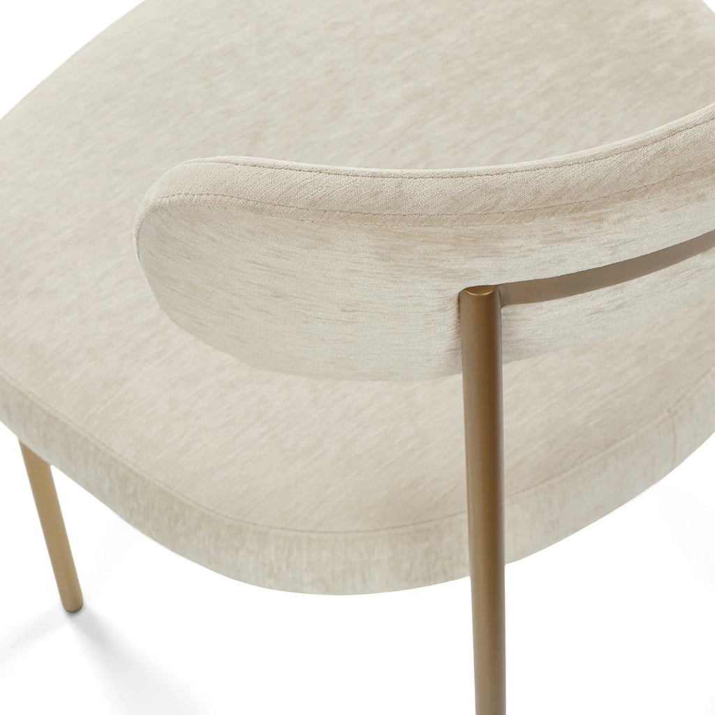 Clarka Modern Metal Dining Chair