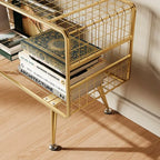 Mesha Modern Metal Mesh Bookshelf In Gold