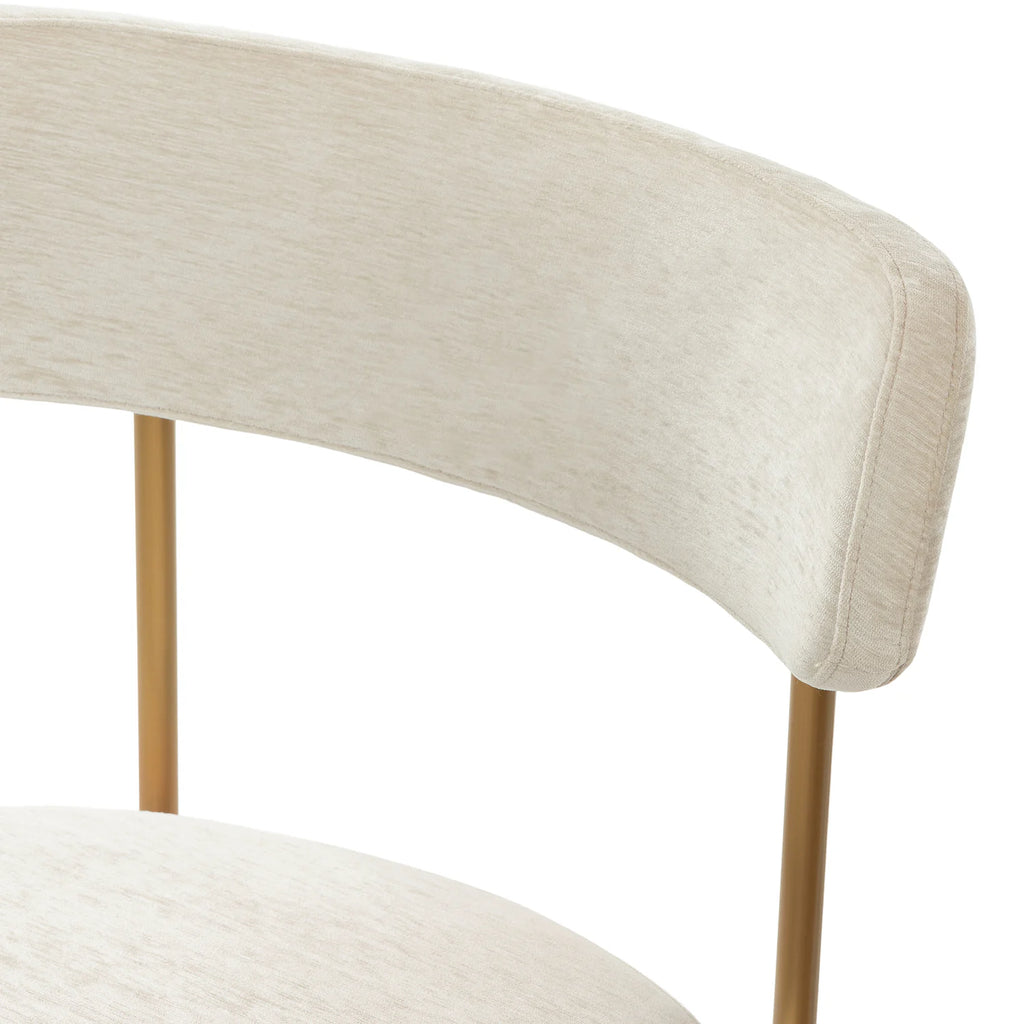 Clarka Modern Metal Dining Chair