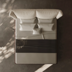 Mocha Modern Minimalist Dual Color Bed With Storage