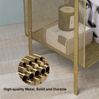 Loen Modern Rectangular Gold Magazine Rack with Open Storage