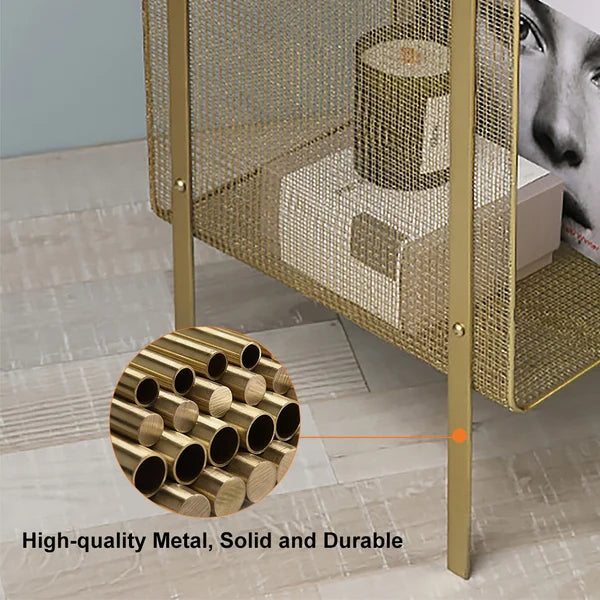 Loen Modern Rectangular Gold Magazine Rack with Open Storage