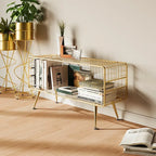 Mesha Modern Metal Mesh Bookshelf In Gold