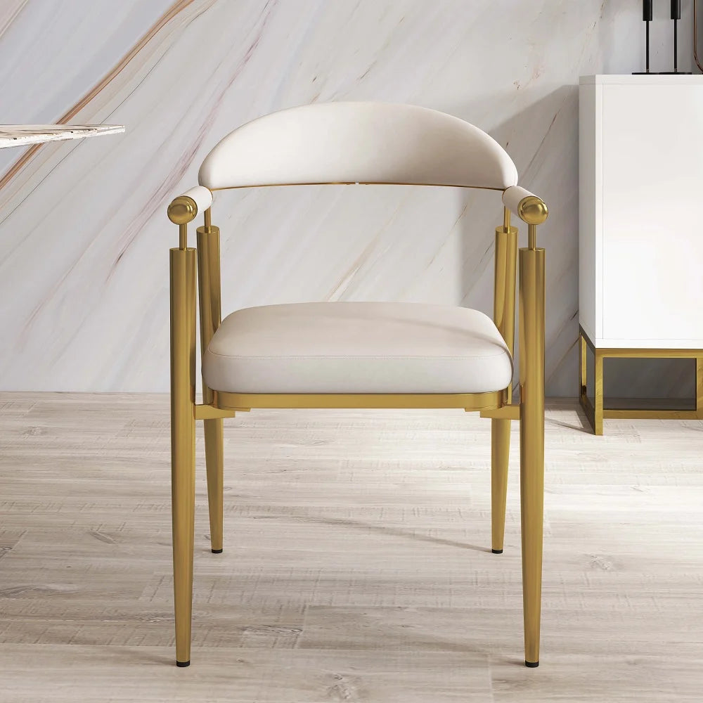Indo Luxury Metal Dining Chair