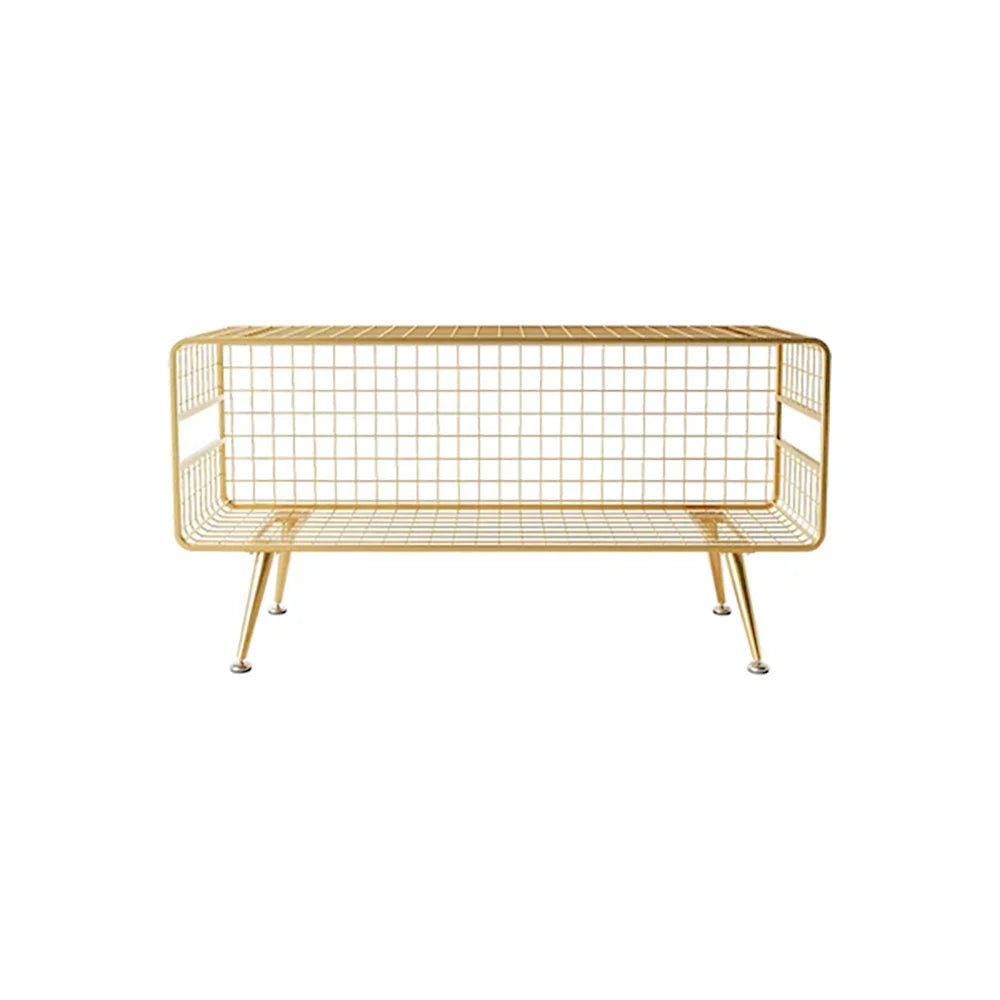 Mesha Modern Metal Mesh Bookshelf In Gold