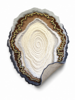 The Grove Ring Rug — Luxury Organic Wood Grain Hand-Tufted Area Rug